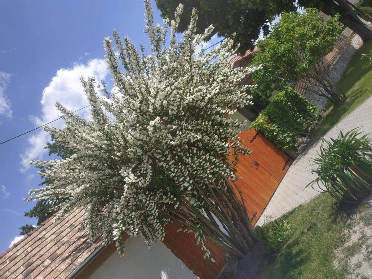 Cseresznyes Haz Lipot Exterior photo
